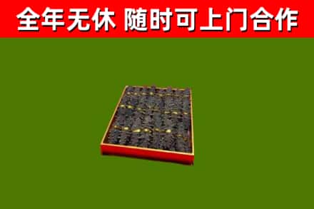 文峰回收海参